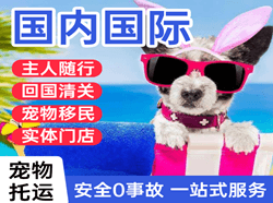 百色巴马机场快递国际宠物托运 【国